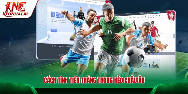 Phương pháp tính tiền cược thắng