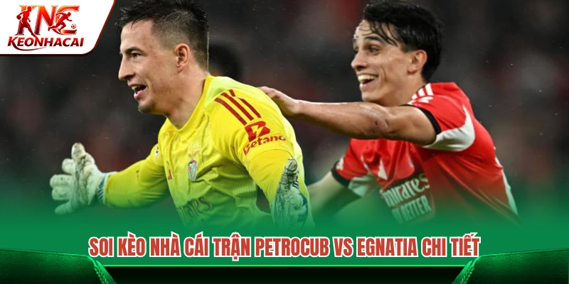 Phân tích các tỷ lệ dự đoán cho trận Petrocub vs Egnatia 
